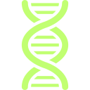 Mandarix